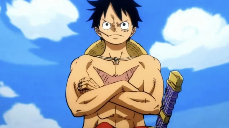 how old is luffy​